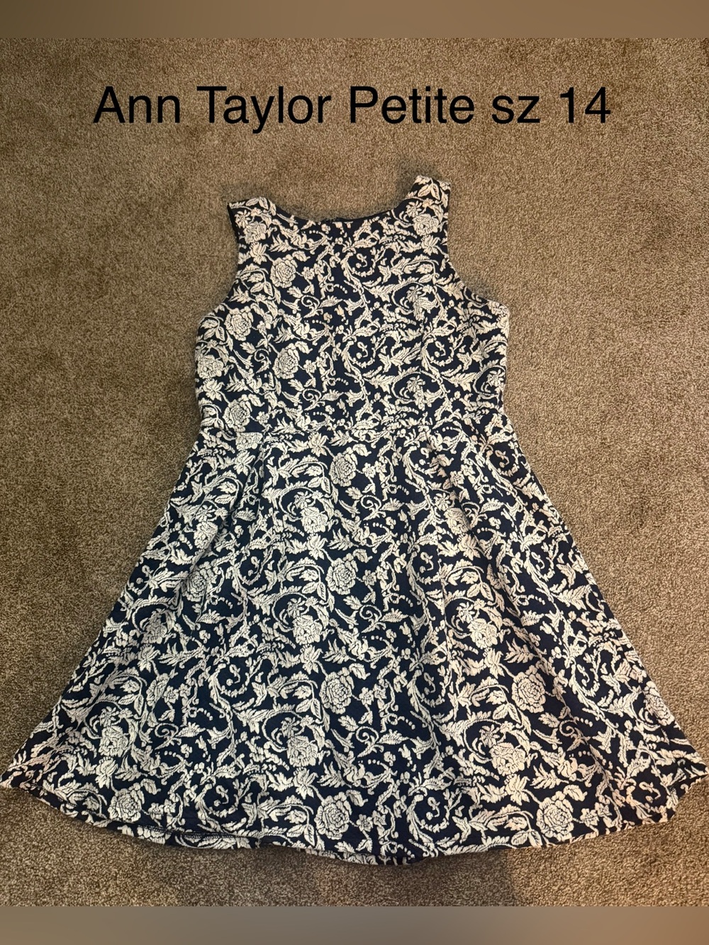 Ann Taylor Navy and White Floral Sleeveless Fit-and-Flare Dress sz 14p